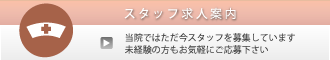 スタッフ採用情報